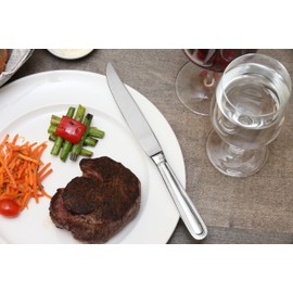 Fortessa Caviar 18/10 Stainless Steel Flatware Solid Handle Steak Knife, Set of 12