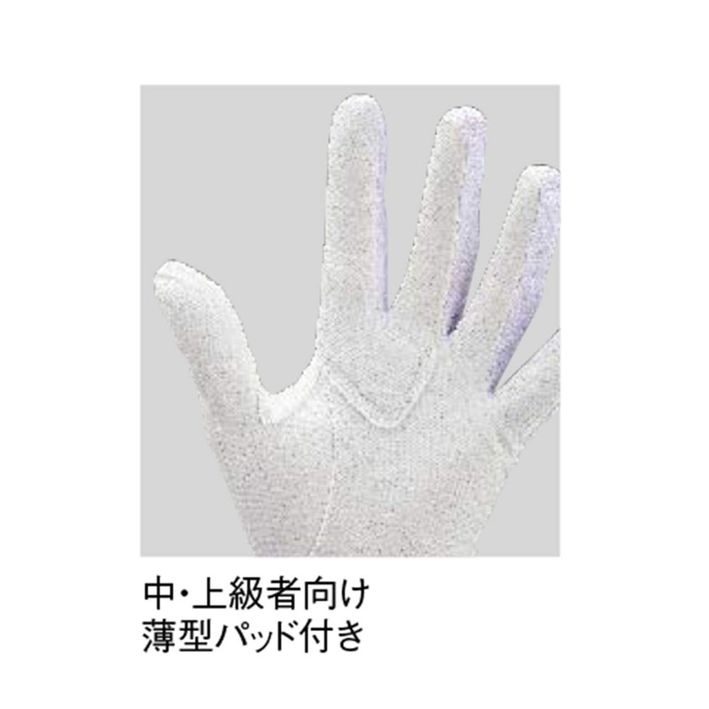 ZETT BG295HS Baseball Defense Gloves, Neo Status, One-Handed, High School