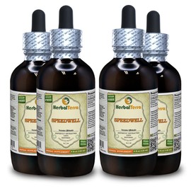 Speedwell (Veronica Officinalis) Tincture, Organic Dried Leaves Liquid Extract (Brand Name: HerbalTerra, Proudly Made in USA) 4x4 fl.oz (4x120 ml)