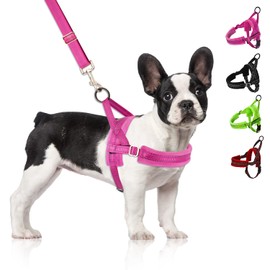 SlowTon No Pull Small Dog Harness and Leash Set, Puppy Soft Vest Harness Neck & Chest Adjustable, Reflective Lightweight Harness & Anti-Twist Pet Lead Combo for Small Medium Dogs