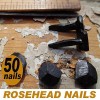 OLD NAIL SOURCE 5/8" Steel Decorative Rose Head Nails -