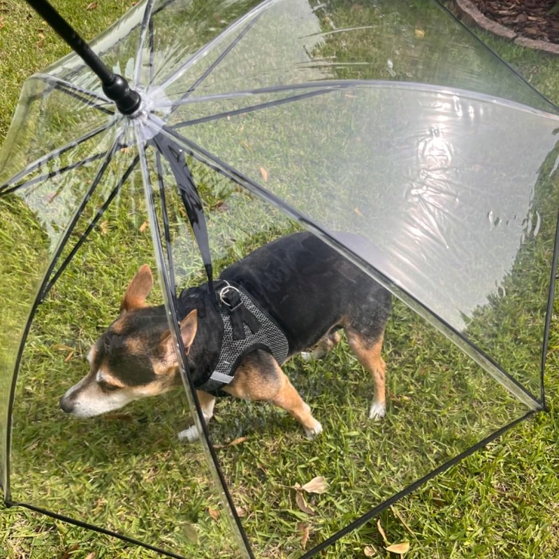ENJOYING Dog Umbrella Small Breed, Clear Dog Umbrella Leash for