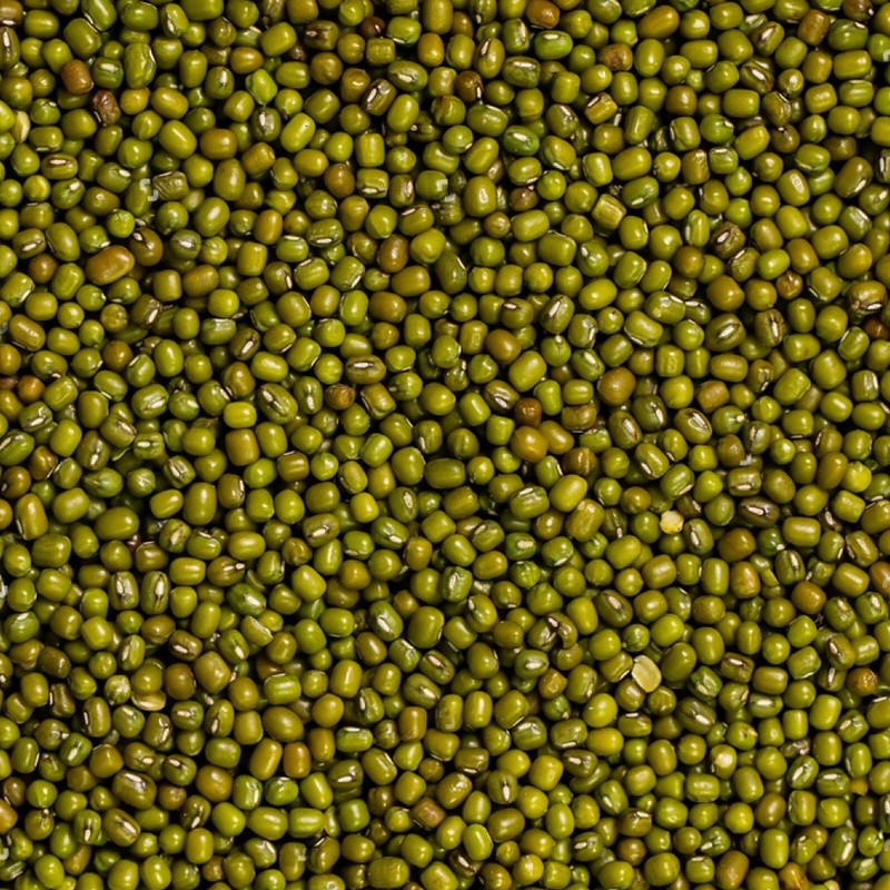 Moong Beans - Premium Quality, Protein-Rich Green Gram, Ideal for