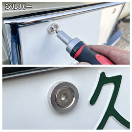 Nexus Japan License Plate Bolts, Silver, Set of 2, M6 x 20, Aluminum Serena