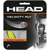 HEAD Velocity MLT Cuerda de Raqueta de Tenis 40' Set