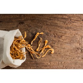 Mynatura Maitake Powder I Vital Mushroom I Grifola Frondosa I Mushroom I Mineral Mushroom I Rattle Sponge I Secondary Plant Substances I (2 x 100 g)