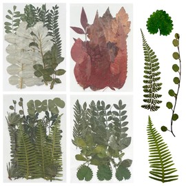 Woohome 69 PCS Natural Dried Pressed Leaves, Assorted Real Dried Pressed Leaves, 4 Packs Natural Dry Leaves with Tweezers, Scissors for Pressed Leaf Art Craft DIY Embellishment Decorations