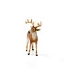Schleich Wild Life 14818 White-tailed Buck for Children Aged 3-8