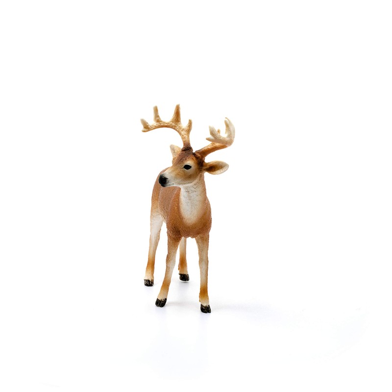 Schleich Wild Life 14818 White-tailed Buck for Children Aged 3-8