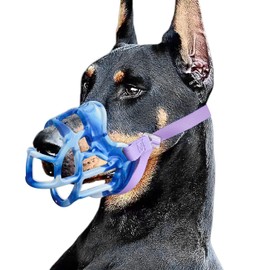 Dog Muzzle, Basket Muzzle Anti Biting Chewing, Sturdy Lightweight Muzzle Allows Panting Drinking, Cage Muzzle for Small Medium Large Dogs, for Grooming Trimming Training (Blue, Size 5)