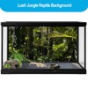 Duedusto 3 Pcs Reptile Tank Background, Bearded Dragon Tank Accessories,