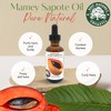 Best Nature's Cosmetics Mamey Sapote Oil Organic - revitalize dry