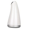 Ice Roller Small Ice Hammer Household Instrument Facial Freezing Age