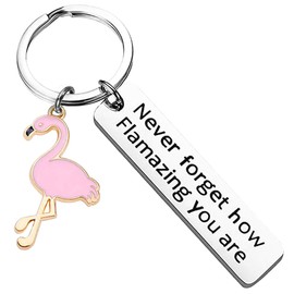 Motivational Flamingo Keychain Never Forget How Flamazing You are ，Flamingo Gifts for Women，Bff Gifts for Women,Keychain Flamingo Lover Jewelry Gift for Family BFF Animal Lovers，Key Ring，Pink
