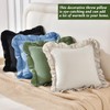AmHoo Pack of 2 Throw Pillow Covers 100% Cotton Pre