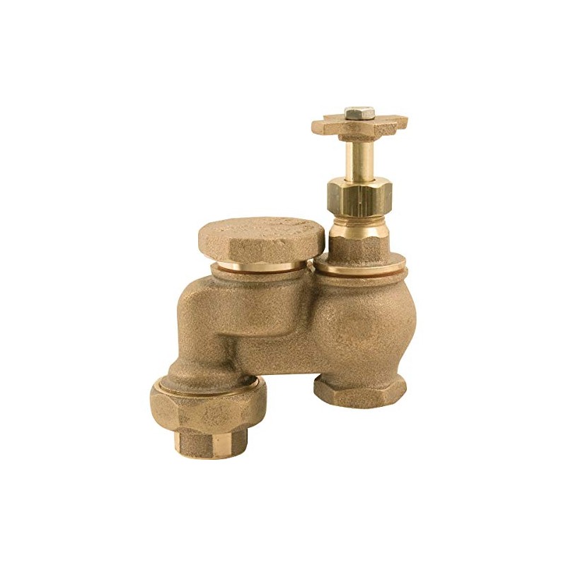 3/4" Brass Anti-Siphon Valve