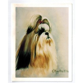 Ruth Maystead Shih Tzu Head Study Notecard Set 12 Note Cards