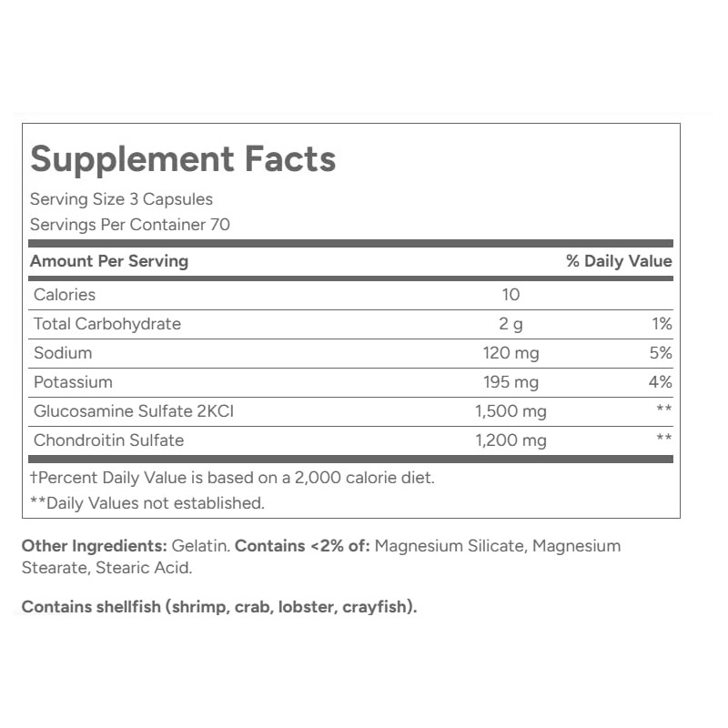 21st Century Glucosamine Chondroitin 500/400mg - Double Strength, cp 60