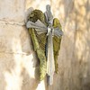 Top Brass Decorative Angel Wing Wall Cross – Gold and