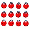 Shelly's Buttons and More Tiny Ladybug Buttons - Bugs- Craft