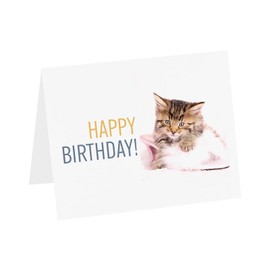 LUXPaper Rachael Hale Collection A7 Folded Card Set | Pack of 10 Cards & Envelopes | Happy Birthday | 5" x 7" | Tabby Cat Design | 80lb. Text | 1 Qty