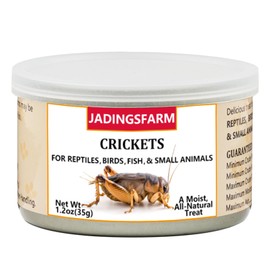 JADINGSFARM 6 Pack Canned Crickets for Reptiles, Fish, Birds and Small Animals, Crickets, Healthy High Protein Treat, Reptile Bird Fish Food 1.2 Ounces Each