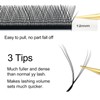 COZBIRD yyy Eyelash Extensions Accessories, 3D Yy 6D Ready-to-Use Fans,