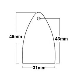 NA GUITAR TRUSS ROD COVER Engraved Paul Reed Smith PRS USA - LIMITED EDITION Black