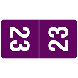 Doctor Stuff - 2023 Mini Year Stickers, Compatible with Smead Top Tab, Purple Colored Year Labels for Top Tab File Folders, 250/Pack, 1 Package, 1/2" x 1" - Small Labels