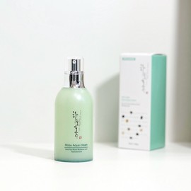 Moisturizing cream containing lake, refreshing and moisturizing - I thought you would write a review, so I gave an advance discount (-100 won) / 호수담은 수분크림 산뜻깔끔촉촉 - 후기써주실줄알고 미리할인 (-100원)