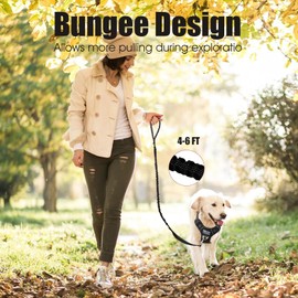 BUMBIN 6Ft Dog Leash Large Dogs, Bungee Dog Leash with 2 Handles, Heavy Duty Dog Leashes for Medium Small Dogs, No Pull Shock Absorbing Dog Leash with Car Seat Belt for Training, Black