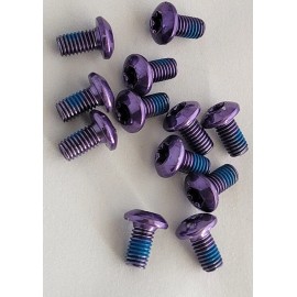 EZBike 12pk Disc Brake Rotor Bolts Torx T25 M5x10mm SRAM MTB Road Bike