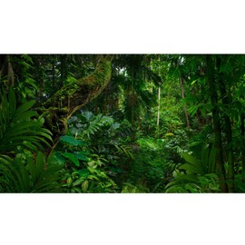 Tropical Rainforest Aquarium Background Psychedelic Forest Terrarium Background Old Trees Woodland Reptile Habitat Background Green Leaves Aquarium Background Backdrop Durable Vinyl 30x12in