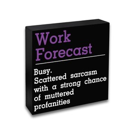 Funny Coworker Gifts Desk Decor ​Appreciation Inspirational Gifts For Coworker Social Worker Boss Colleagues Partner Work Anniversary Present Office Decor For Women Men Cubicle Decor ​