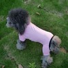 LoveLongLong Dog Jumpsuit with UV Protection and Quick-Dry Fabric for