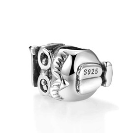 Lovans 925 Sterling Silver Graduation Gift Charm Cute Wise Owl Bead Charm Fit Bracelet Gift for Women