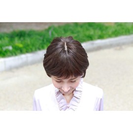 Priscilla ST-005 Gray Hair Concealing Wig, Divided Type, 3A, Dark Brown