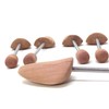 Cedar Elements Women's European Style Shoe Trees (Large)