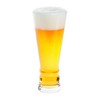 Brew Craft Pilsner Lager Glass