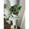 Reusable Plant Labels for Gardyn Hydroponic Systems (Set of 10)