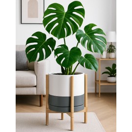 D'vine Dev Ceramic Planter with Natural Stand - 12 Inch Modern Round Flower Pot with Wood Planter Holder, White/Grey, 55-B-J-6