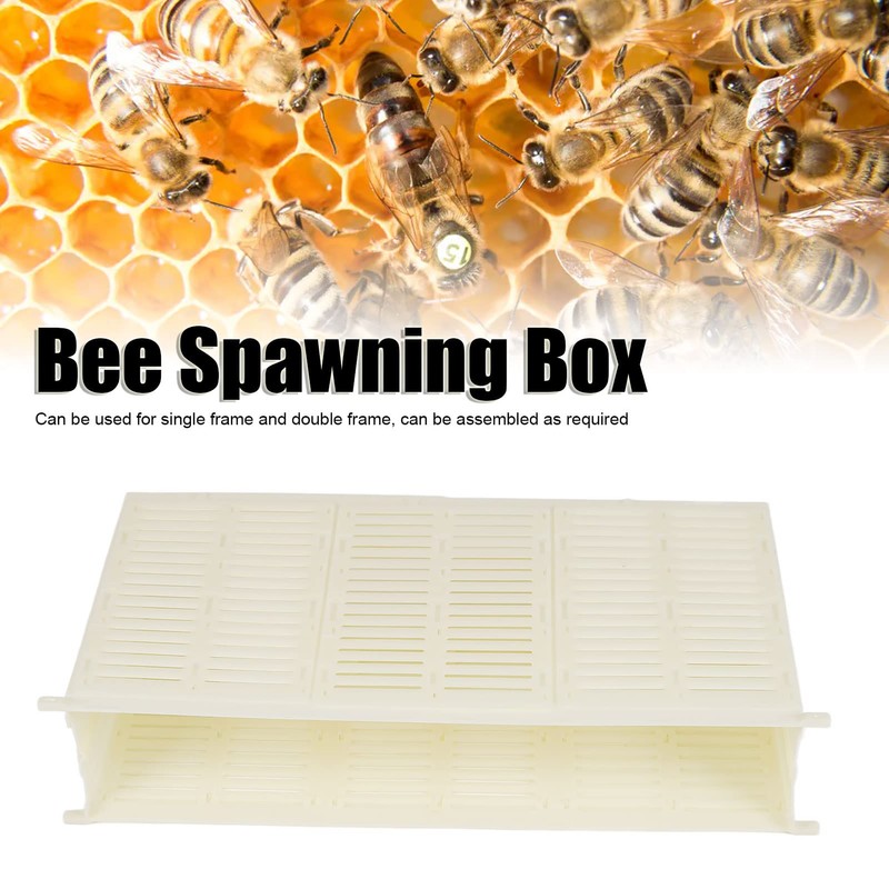 Queen Bee Spawning Controller,Queen Bee Cage,Single Frame Plastic Bee Spawning