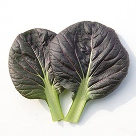 Cabbage Seeds - Pak Choi - Red Tatsoi - Hybrid - 5 Lb Bulk ~448000 Seeds - Non-GMO, F1 Hybrid - Asian Garden Vegetable