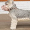 QIRUIRED Dog Muzzle Adjustable Straps Soft Basket Muzzles Prevent Biting