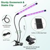 Teilybao Solar-Powered Grow Lamp with Battery, 2-Head 40 LED Full