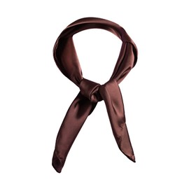 AOLIGE Scarf Satin Square Neck hair scarfs for Women 27" x 27"