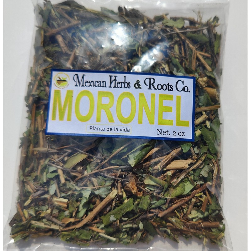Mexican herbs Moronel Planta de La Vida Te de moronel