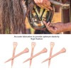 250Pcs Horseshoe Nails Copper Plating Shoeing Nails with Plastic Box