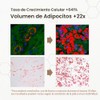CELDYQUE- FÓRMULA CONCENTRADA 100% VOLUFILINE: Experimente la potencia completa del