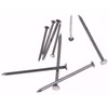 Mini Skater 2.36 Inch Iron Metal Hardware Wire Nail Assortment,4.86